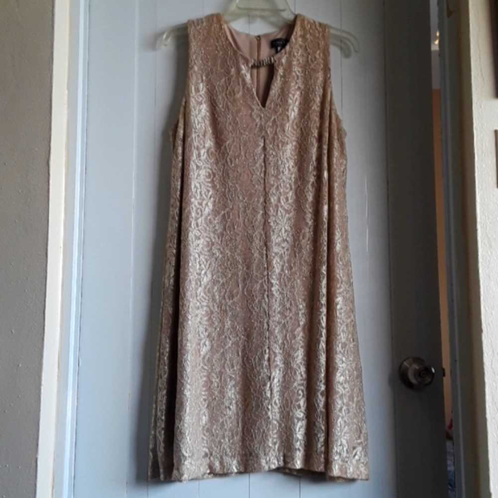 Jessica Howard  Champagne Lace Dress